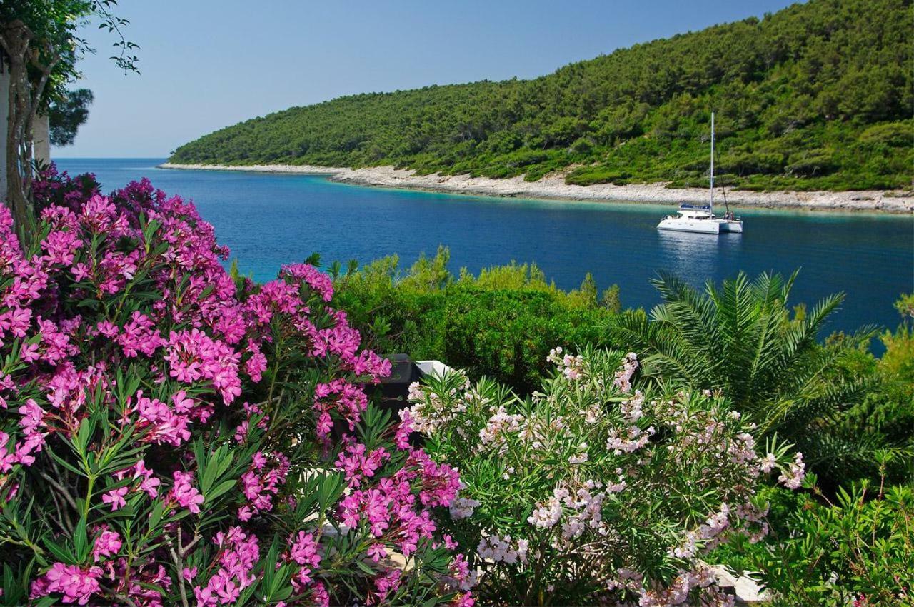 Waterfront Villa With Pool Vela Luka Zewnętrze zdjęcie