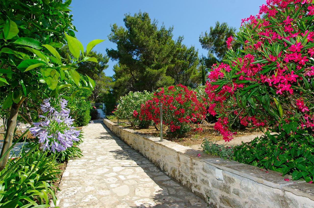 Waterfront Villa With Pool Vela Luka Zewnętrze zdjęcie