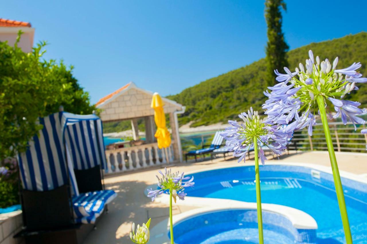 Waterfront Villa With Pool Vela Luka Zewnętrze zdjęcie